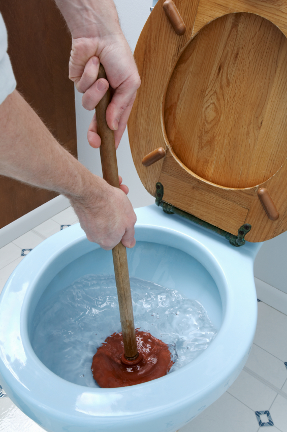 Clogged Toilet